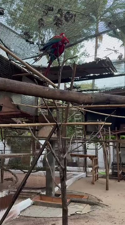 Reencuentro de Romeo y Julieta luego de cinco meses de que Julieta fue disparada con un rifle de aire comprimido