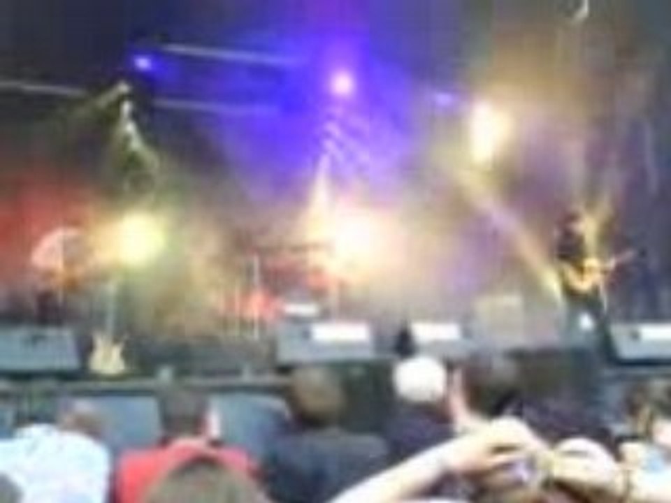 Puggy au papillons de nuit 2008