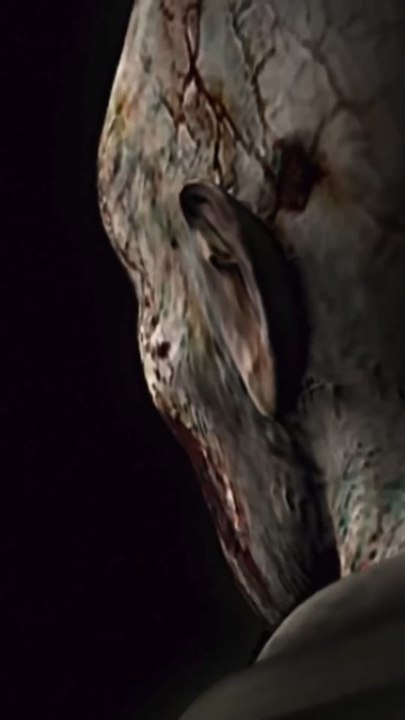 LE ZOMBIE QUI A LANCÉ UNE SAGA