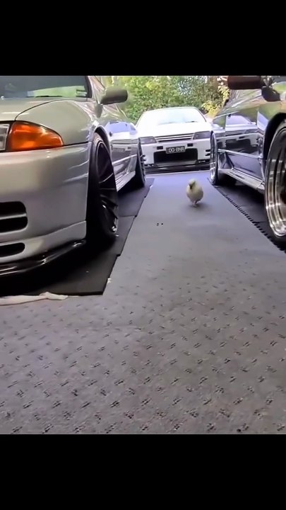 Crafted for Kings: The Most Elegant Car Interiors Ever Built