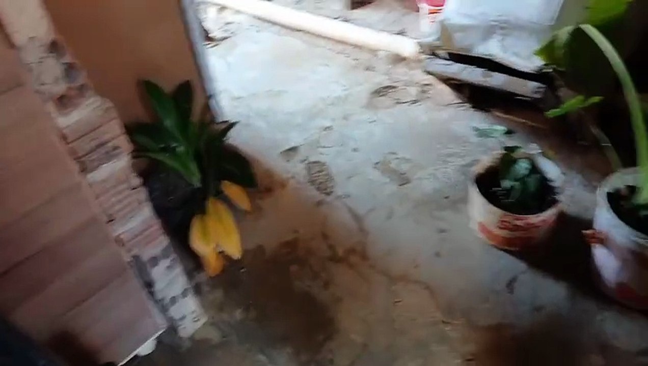 Moradora denuncia galeria dando retorno para residência em rua do bairro Sete Casas, em Patos