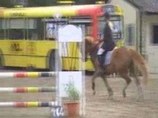 La belle fleur ap midi liberty 2 refus le 31mai08