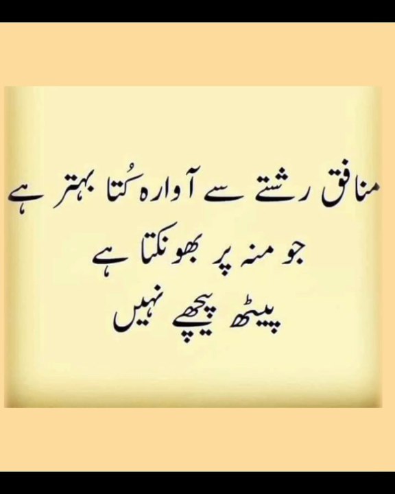 #Es mejor ser un mendigo errante o tener hambre por delante y no por detrás #gaming #ekmotahathighumechala #newmusic #t