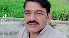 Punjabi mahol