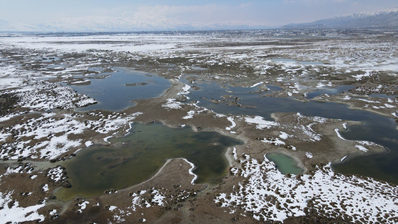 Ekşisu Kuş Cenneti’nde etkileyici görüntüler: Kuş sürüleri ve şahinlerin avı