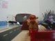Regarder Baboin. sur DailyMotion.com