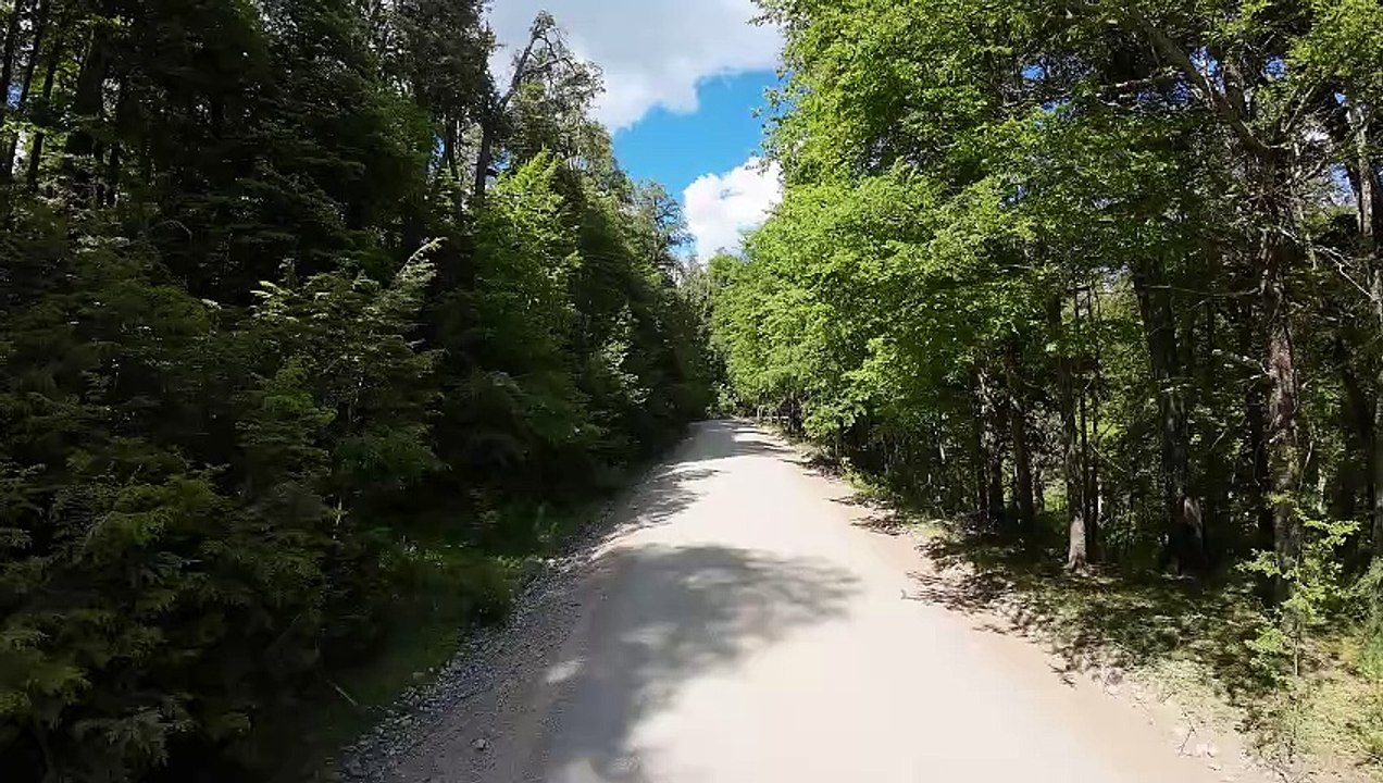 DJI_0029