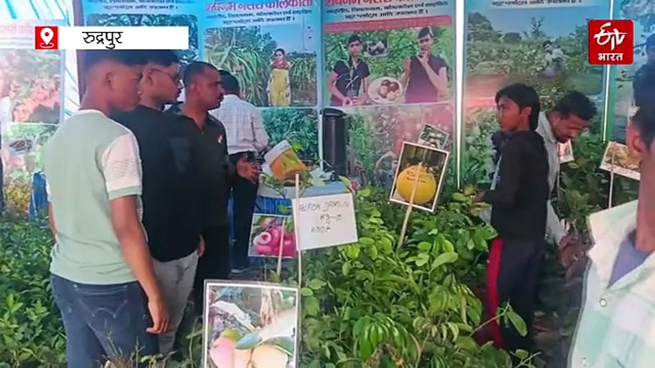 साल में तीन बार फल देता है ये अमरूद, स्वाद और पोषक में बेमिसाल, जानें और फायदे