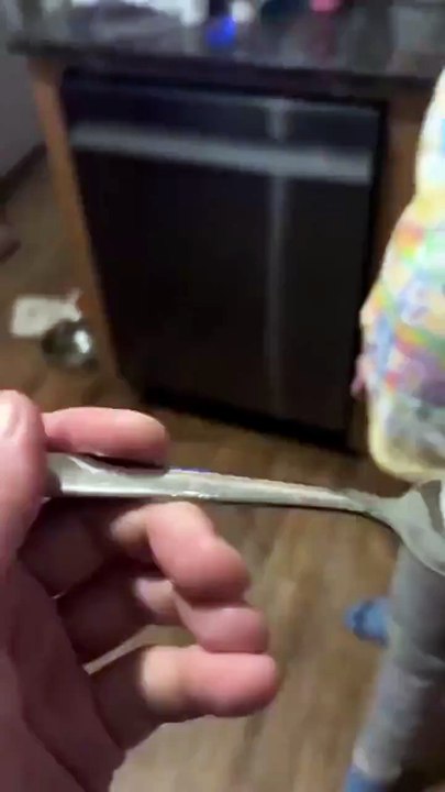 Ce chat n'est pas fan de son repas