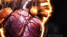 What Happens When You Smoke Cigarettes