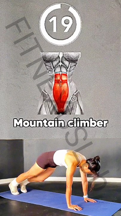 20 Sec Mountain Climber 🔥 Burn Belly Fat & Build Strong Abs #Fitness #AbsWorkout #Shorts
