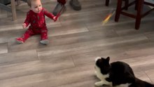 9-month-old baby wiggles a cat toy and engages with a cat