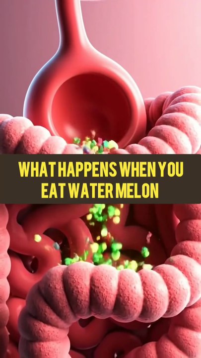 What Happens When You Eat Watermelon 3D Animation