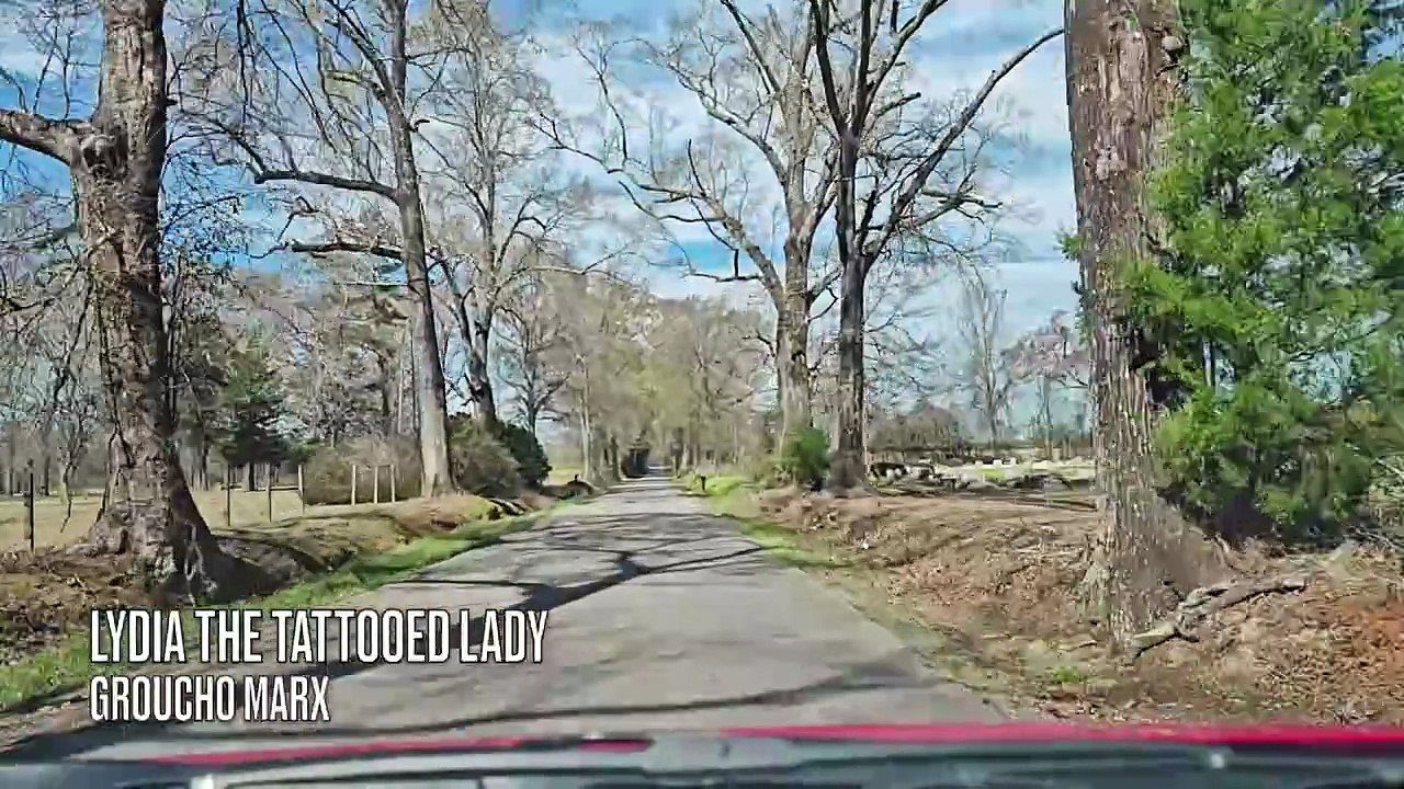 Sunday Drive with Groucho Marx (Lydia the Tattooed Lady)