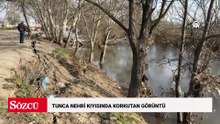 Tunca Nehri kıyısında korkutan görüntü