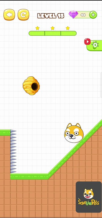 Save The Pets Level 15