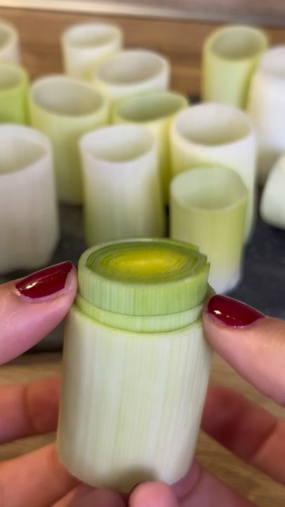 Cannellonis de poireaux 💚