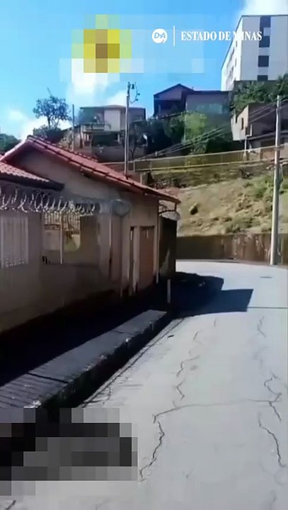 Moradores de Nova Lima denunciam morte suspeita de três gatos