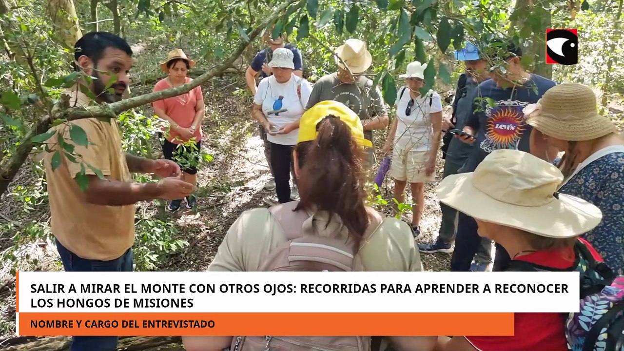 Salir a mirar el monte con otros ojos recorridas para aprender a reconocer los hongos de Misiones