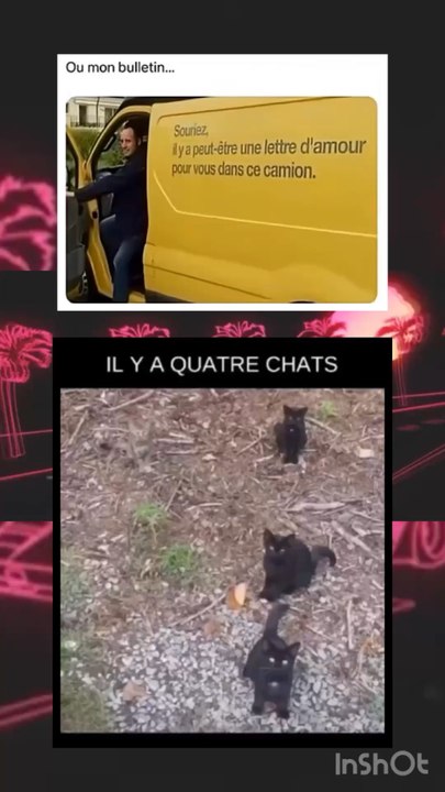 Il sont combien ??