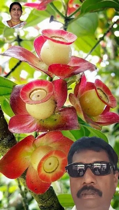 Yekkadi Vaado Gaani