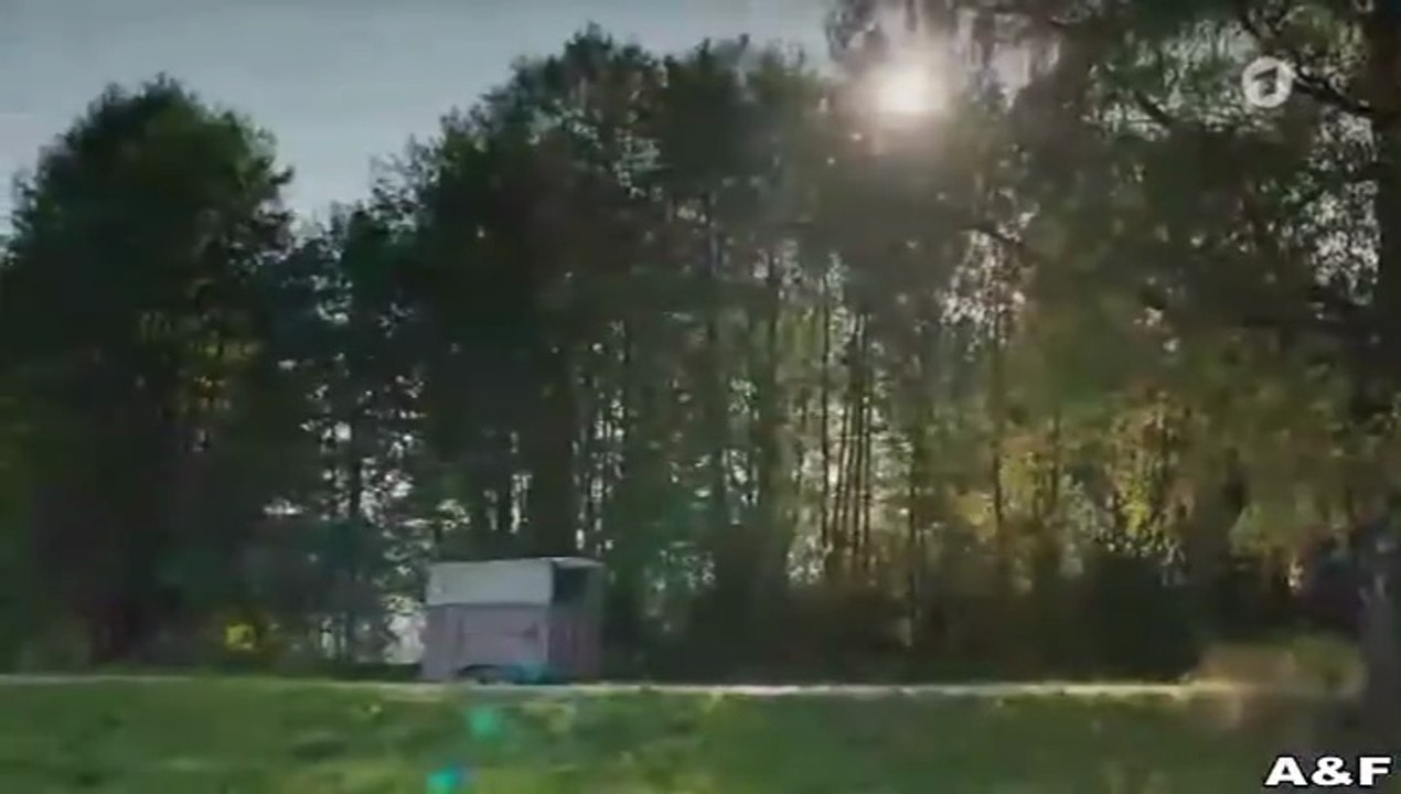 Reiterhof Wildenstein -06- Sprung ins Leben