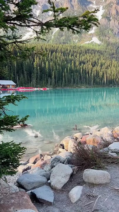 Morning Time #virl #4M Views