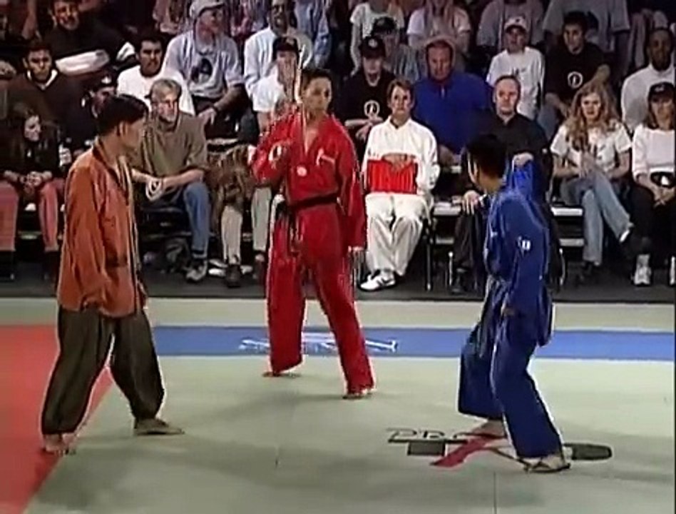 Pro Taekwondo