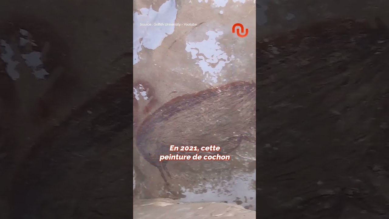 On s'est trompés sur la plus vieille oeuvre d'art de l'humanité ! #shorts