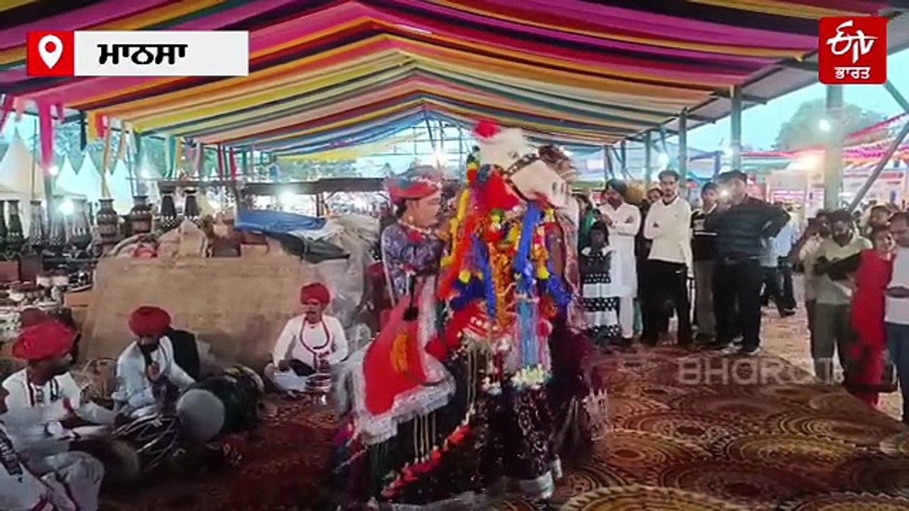 ਮਾਨਸਾ ਸਰਸ ਮੇਲੇ 'ਚ ਰਾਜਸਥਾਨੀ ਕਲਾਕਾਰਾਂ ਨੇ ਲਾਈਆਂ ਰੌਣਕਾਂ, ਪੰਜਾਬੀ ਗੀਤਾਂ 'ਤੇ ਬਿਰਧ ਆਸ਼ਰਮ ਦੇ ਬਜ਼ੁਰਗਾਂ ਨੇ ਪਾਇਆ ਭੰਗੜਾ