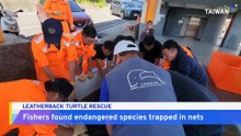 Endangered Leatherback Turtle Rescued From Fishing Net