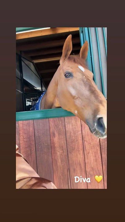 Laeticia Hallyday a profité d'un moment au haras de son compagnon Serge Varsano.Capture d'écran Instagram