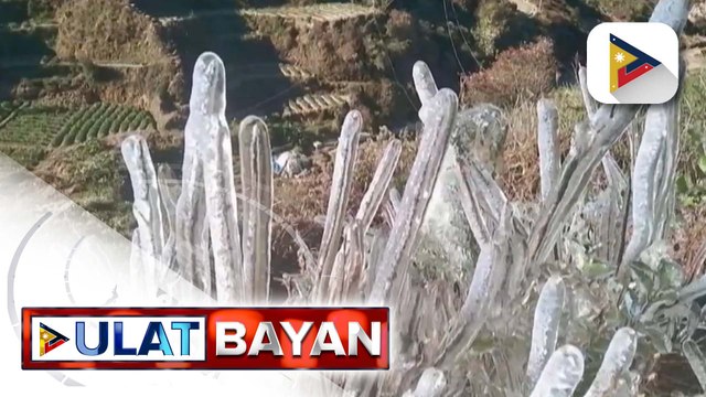 Ilang bahagi ng Cordillera Administrative Region, nakaranas ng frost o andap dahil sa amihan | ulat ni Brigitte Marcasi-Pangosfian ng PTV Cordillera