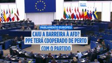 Parlamento Europeu: caiu a barreira à AfD? PPE terá cooperado de perto com o partido