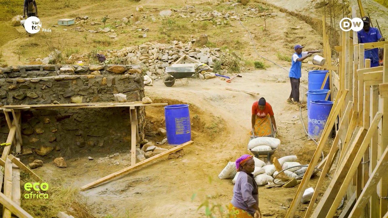 Sanctuary in Ghana under pressure: Too many sacred monkeys? | DW Eco Africa