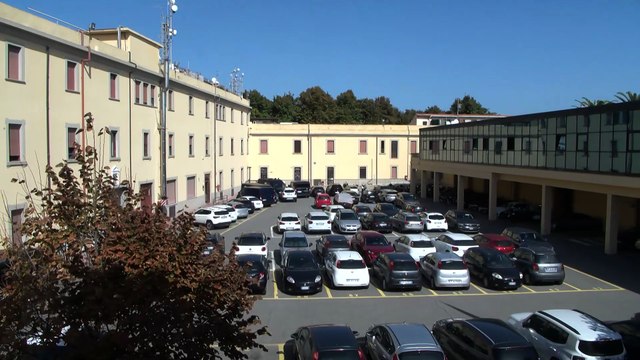 Carabinieri e CO.TU.LE.VI contro la violenza di genere