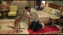 فيلم كنغر حبنا - رامز جلال