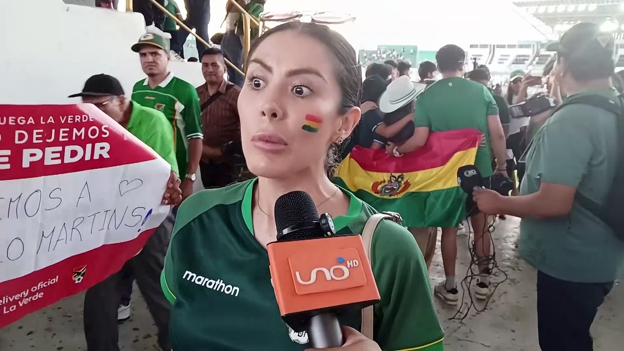 LA ILUSIÓN DEL HINCHA
