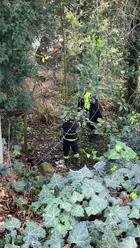 Image from field_mediaid