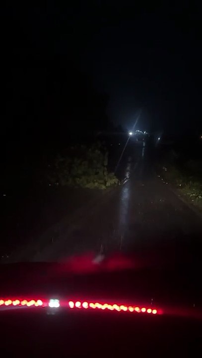 Árvore cai e bloqueia CE-187, em Ipu