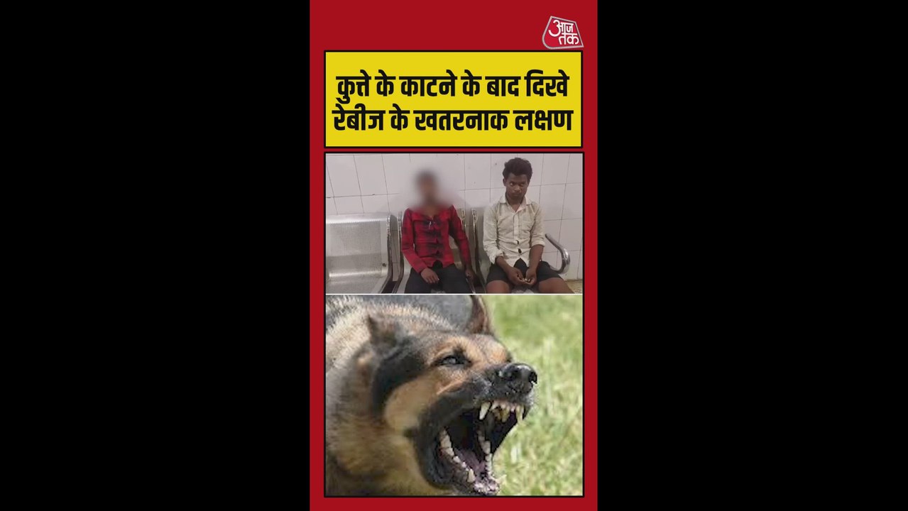 कुत्ते के काटने के बाद दिखे रेबीज के खतरनाक लक्षण