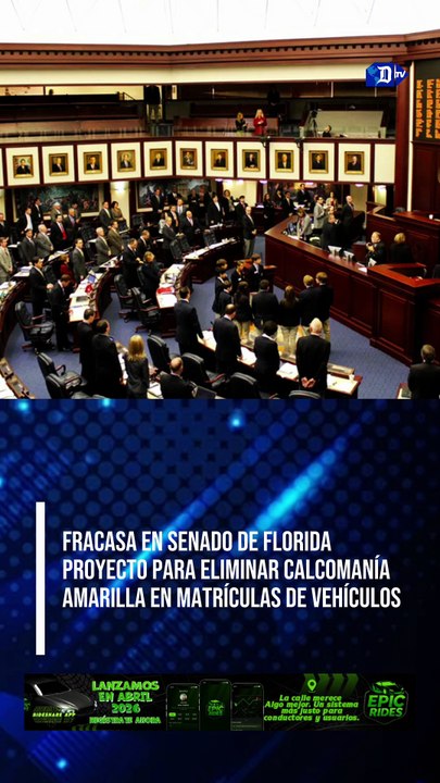 Fracasa en Senado de Florida proyecto para eliminar calcomaníaamarilla en matrículas de vehículos | El Diario en 90 segundos