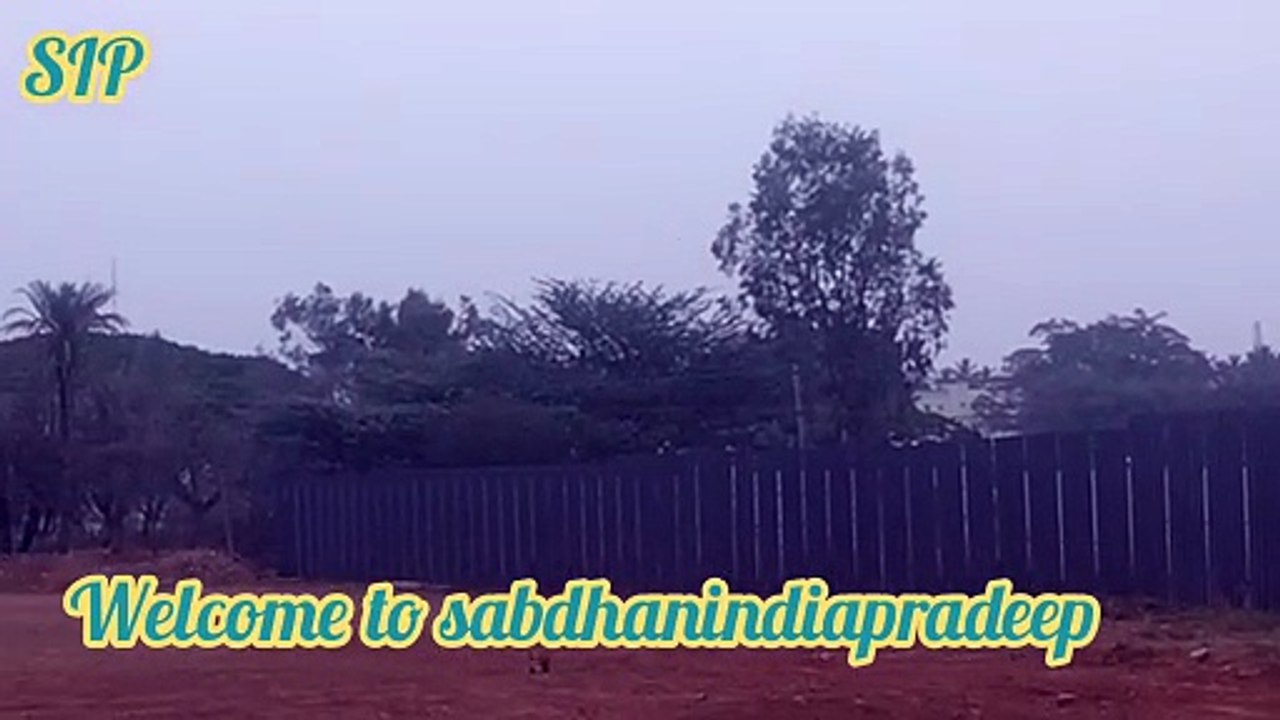 nature in summer
