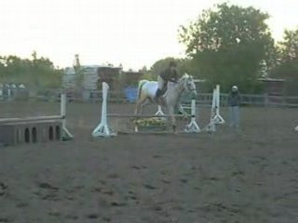 moi et dexter au saut