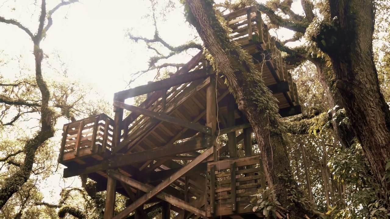 Exploring Tree Tops Park (Davie, Florida) - 4K Travel VLOG & Review / Observation Tower