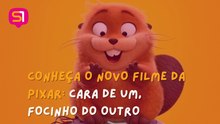 Conheça o novo filme da Pixar: Cara de um, Focinho do Outro