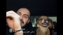 بث مباشر سلومو هگر
