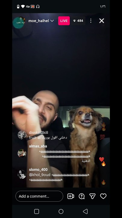 بث مباشر سلومو هگر