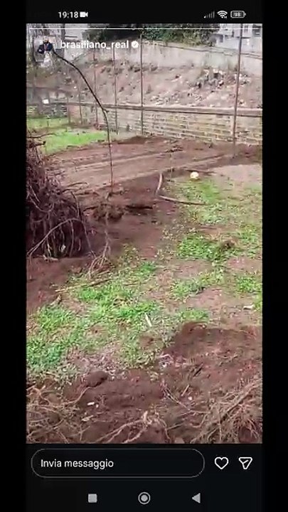 Brasiliano real story si candida come consigliere al comune di roma