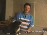 Le Chat Qui Danse Vidéo Dailymotion